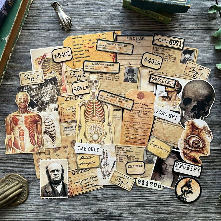 Tự Làm Thêu Sò Vintage Búp Bê  - đánh giá và giá Photography Journal