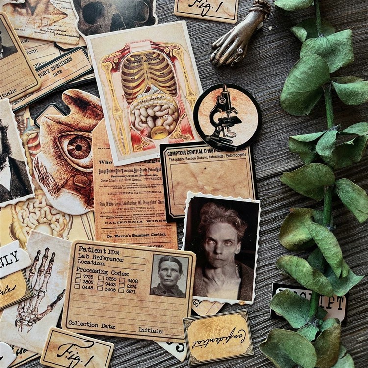Tự Làm Thêu Sò Vintage Búp Bê  - đánh giá và giá Photography Journal