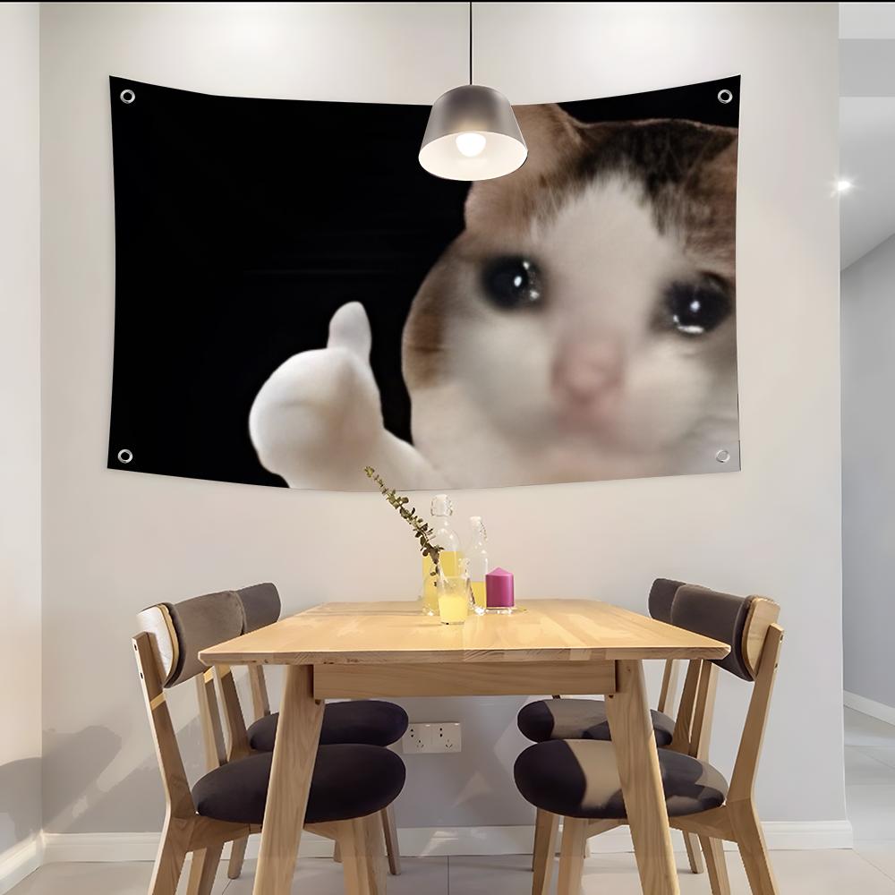 Interesting Cat Photography Fl - đánh giá và giá Photography Interest