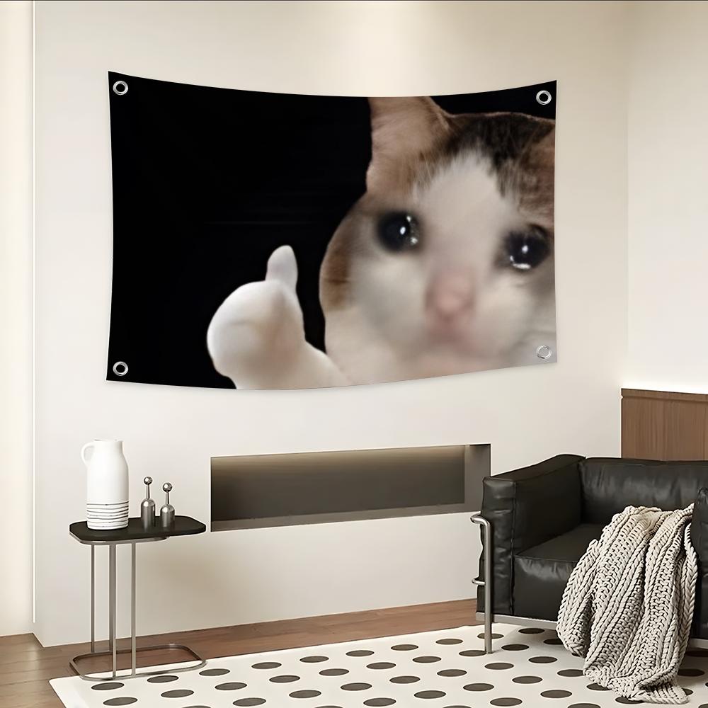 Interesting Cat Photography Fl - đánh giá và giá Photography Interest