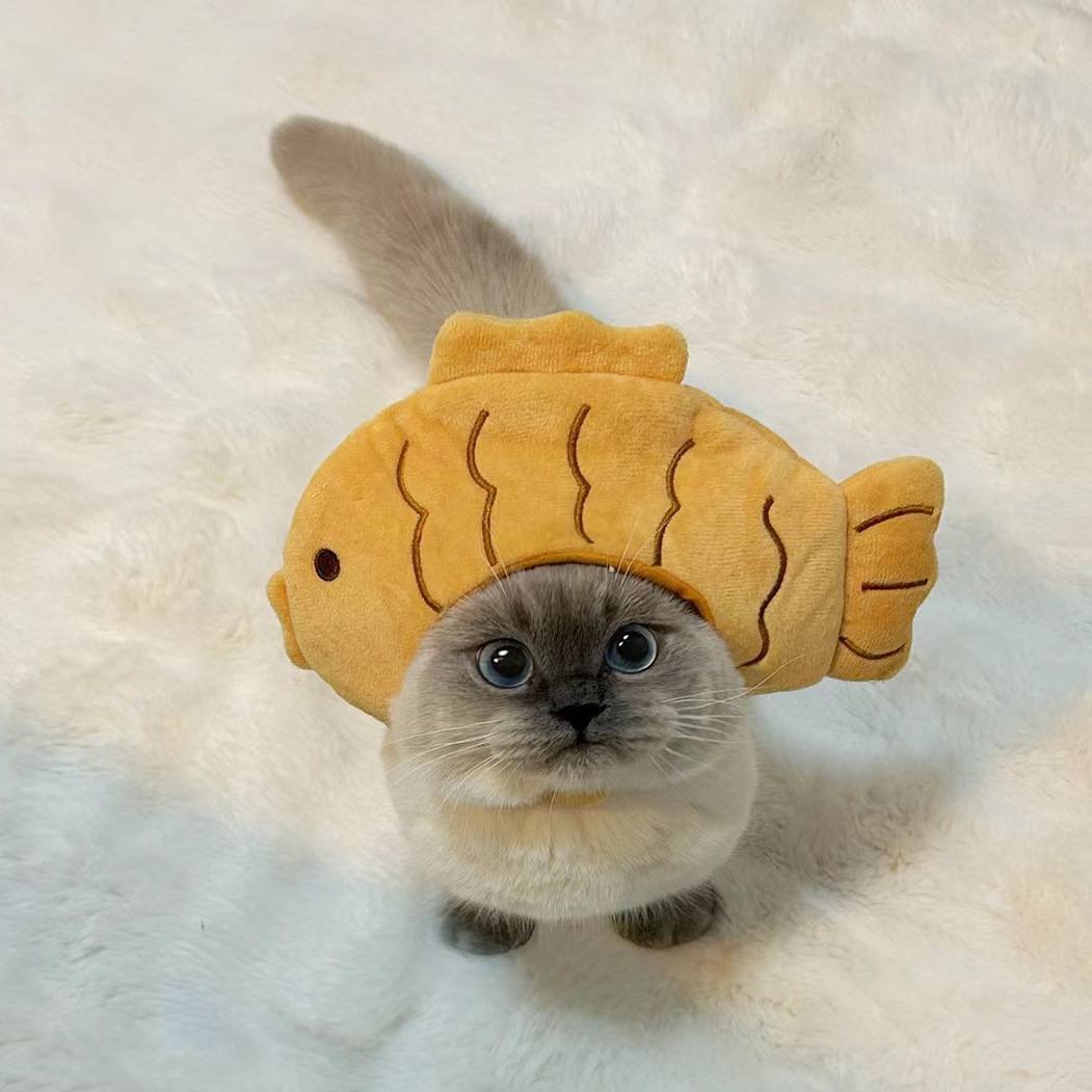1pcs Interesting pet headwear  - đánh giá và giá Photography Interest
